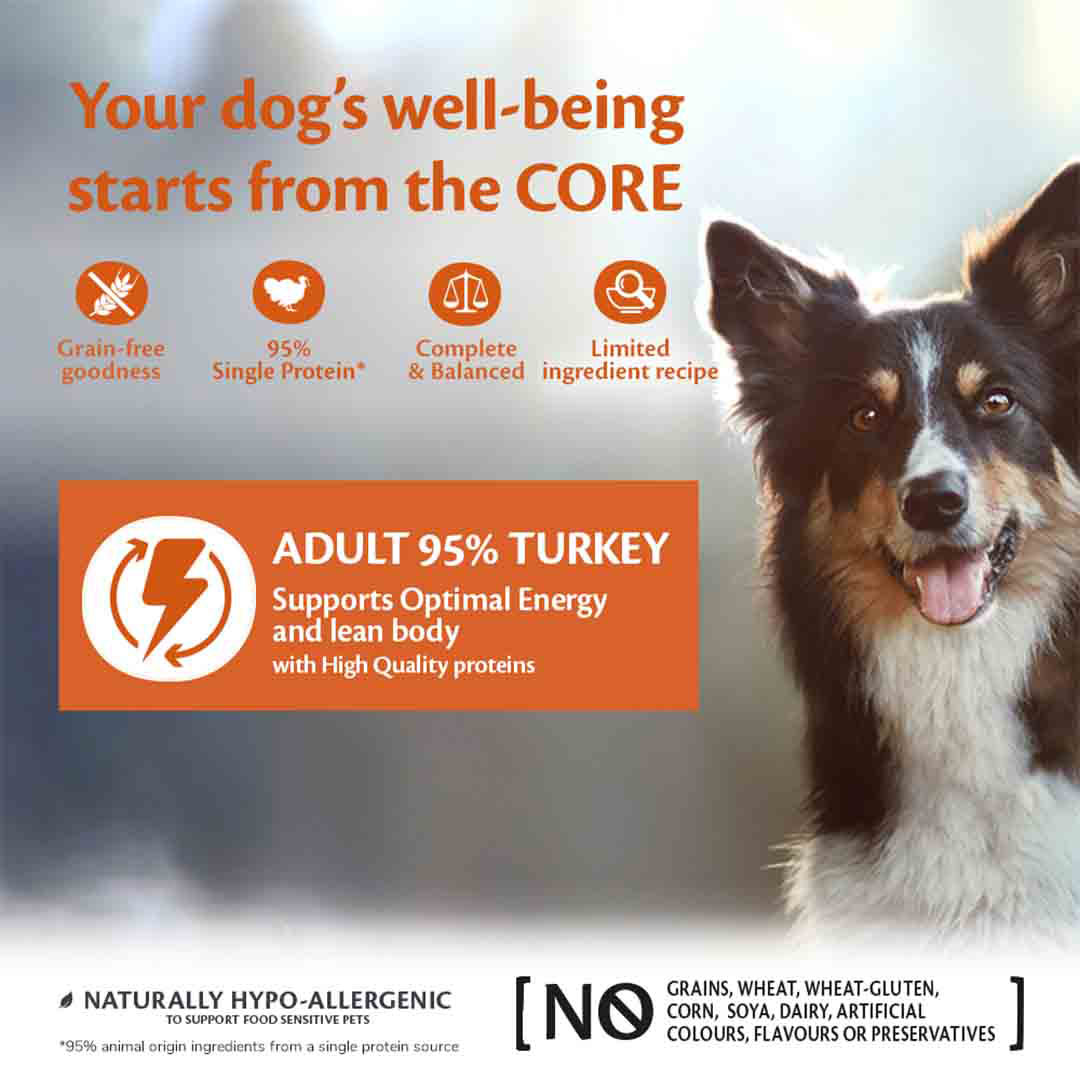 Wellness CORE Wet Adult Dog Food 95% Single Protein Turkey with Kale Recipe 400g