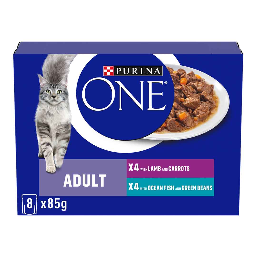 Purina ONE Cat Food Ocean Fish and Lamb Mini Fillets in Gravy 8x85g
