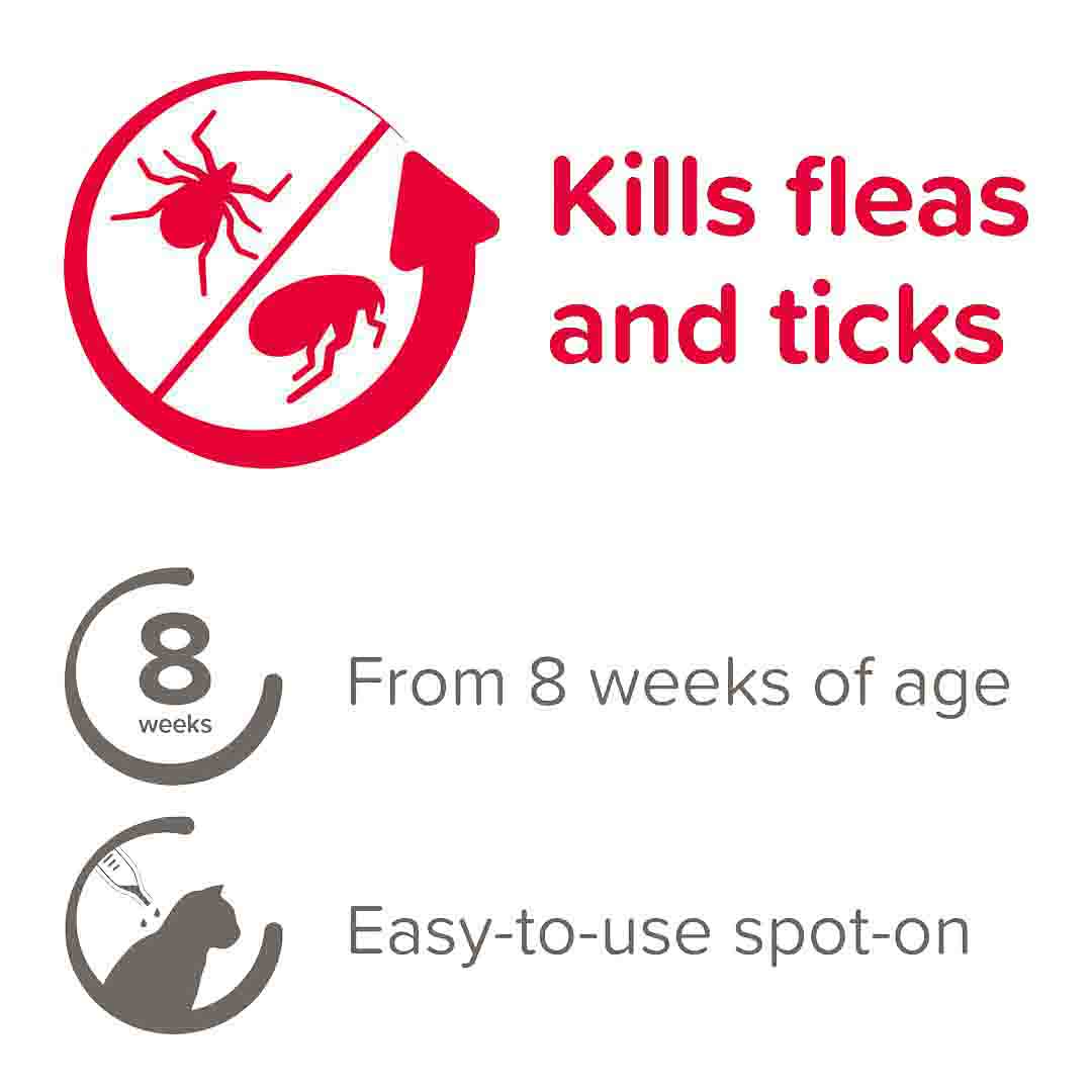 Beaphar FIPROtec Spot-On Flea & Tick Treatment for Cats, 4 Pipettes