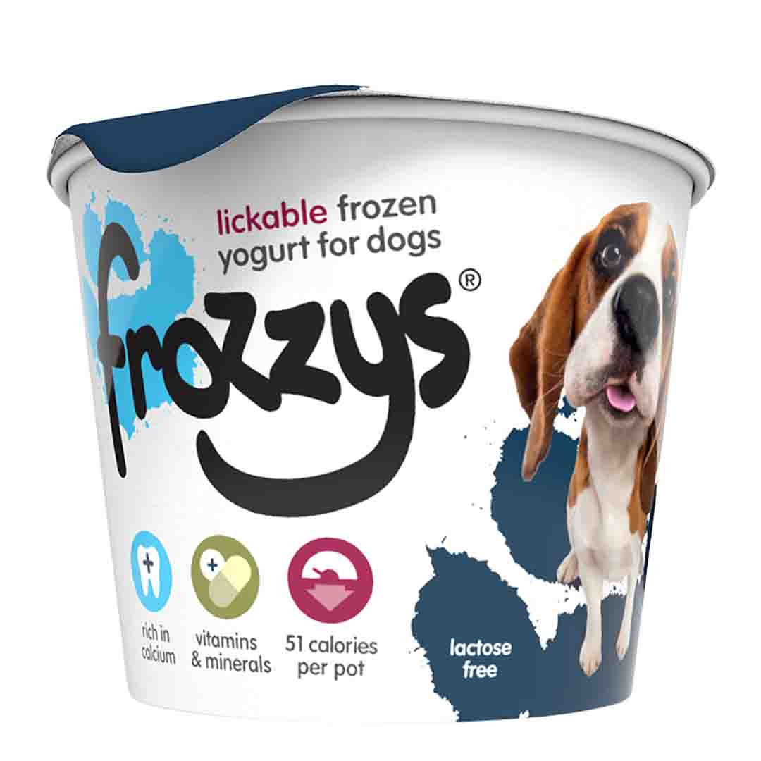 Frozzy's Blueberry Tub 85g