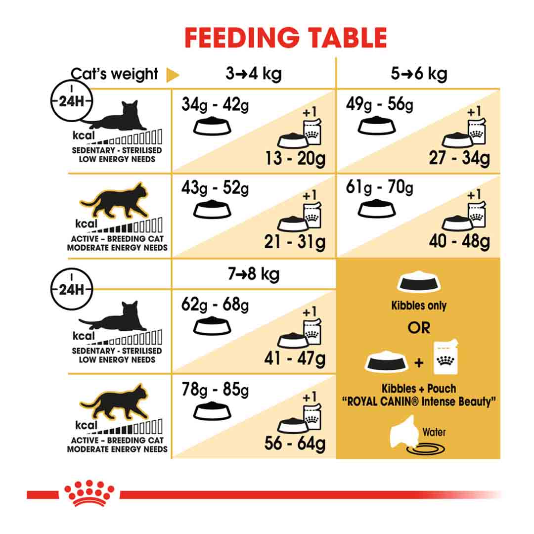 Royal Canin Ragdoll Dry Cat Food, 2kg
