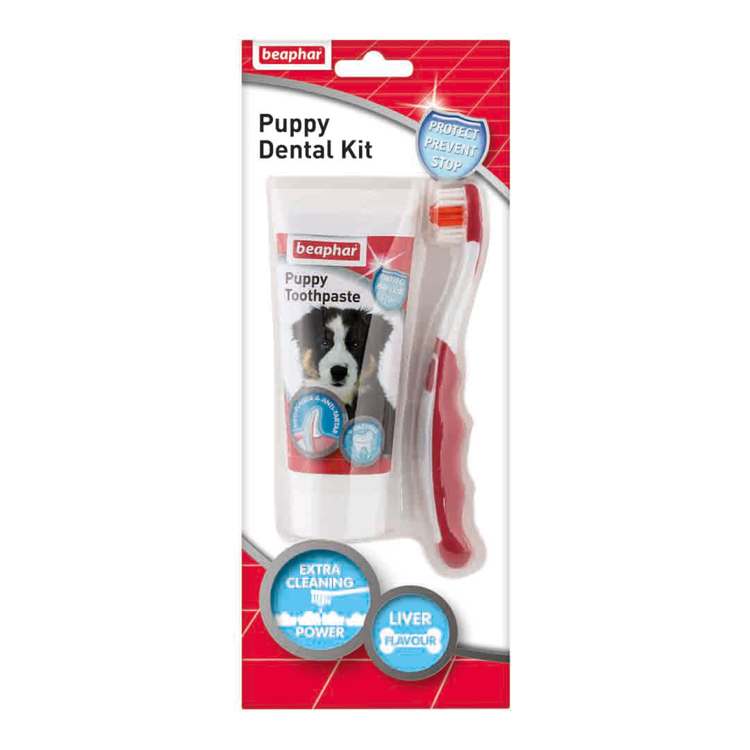 Beaphar Liver Toothpaste & Toothbrush Dental Care Kit for Puppies, 50g