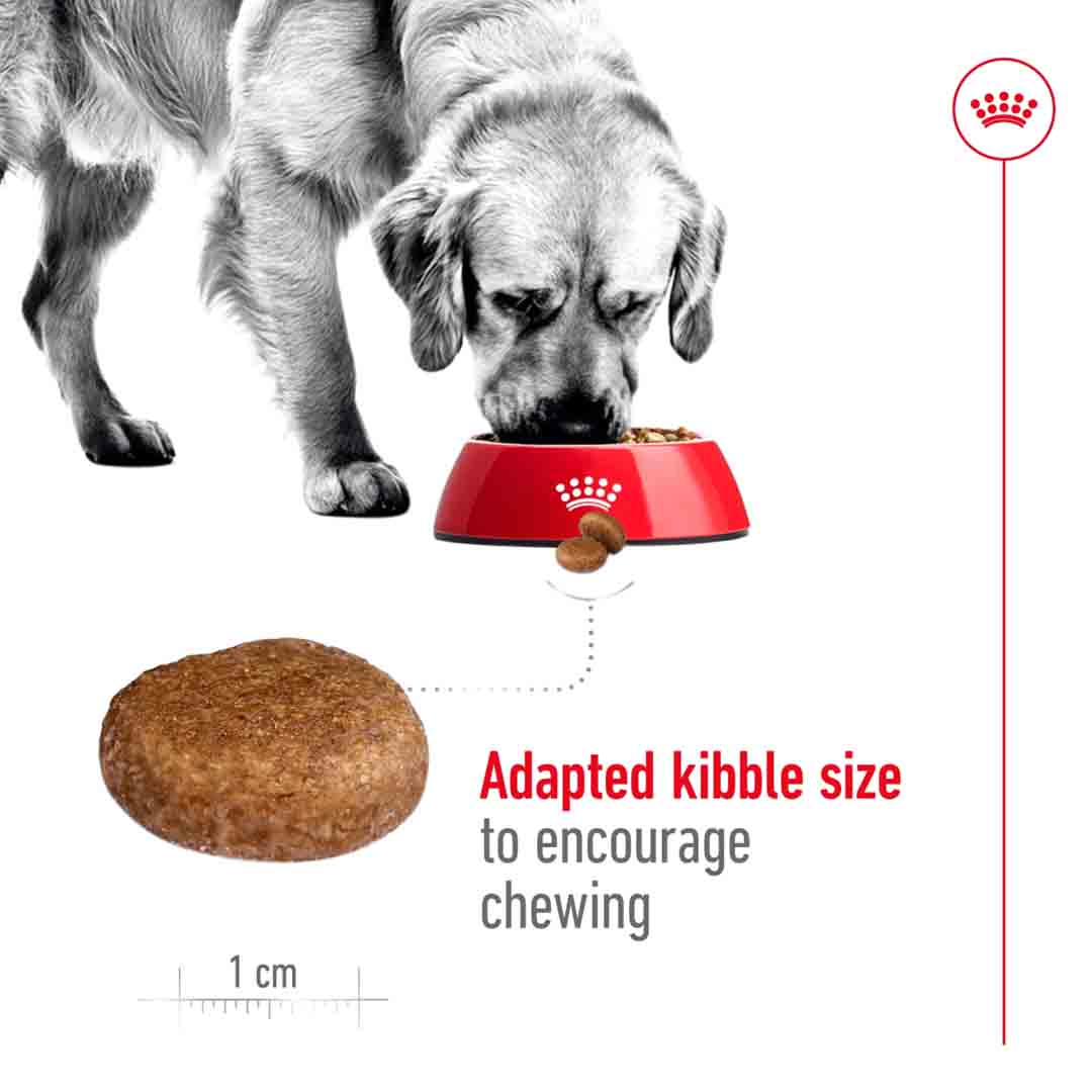 Royal Canin Maxi Adult 5+ 4kg