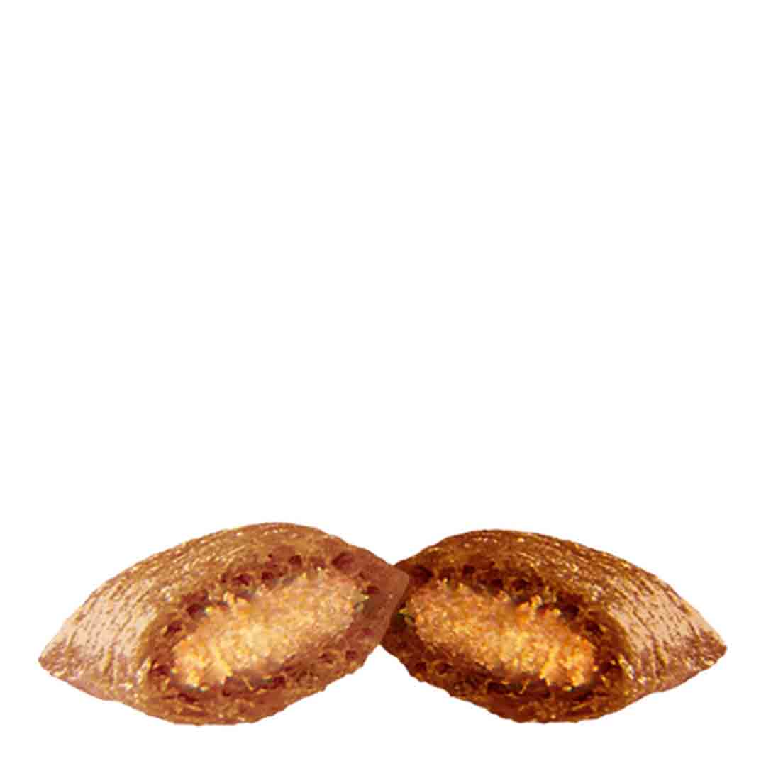 Dreamies Mix with Tasty Chicken and Delectable Duck, Cat Treats, 60g