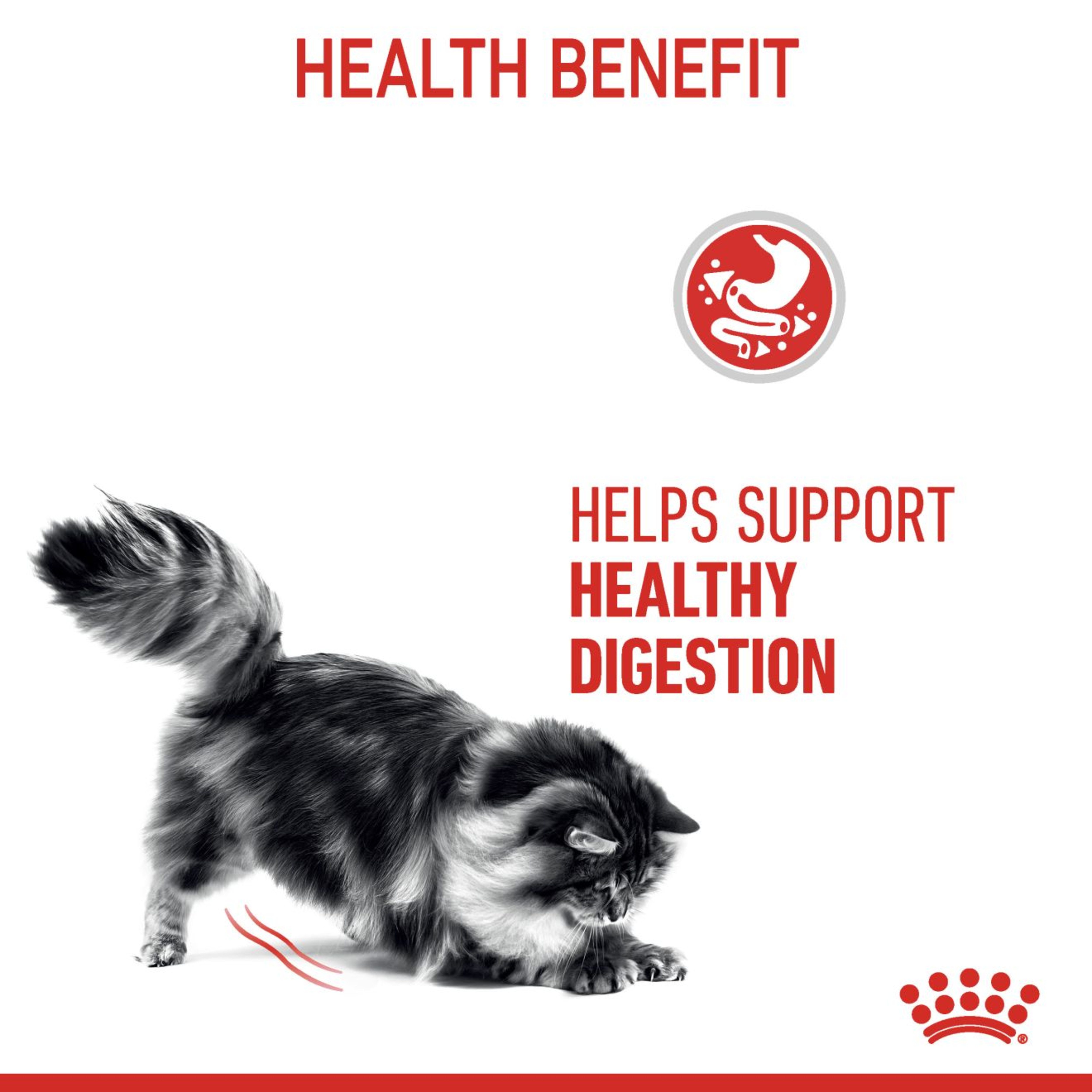 Royal Canin Digestive Care Wet Cat Food in Gravy 48x85g