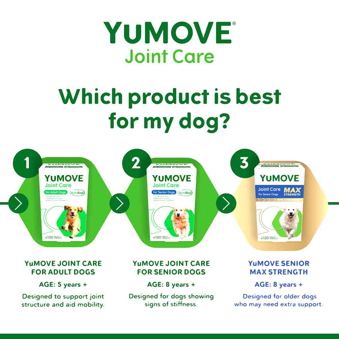 YuMOVE Tablets, Joint Care for Adult Dogs, 120 Tabs