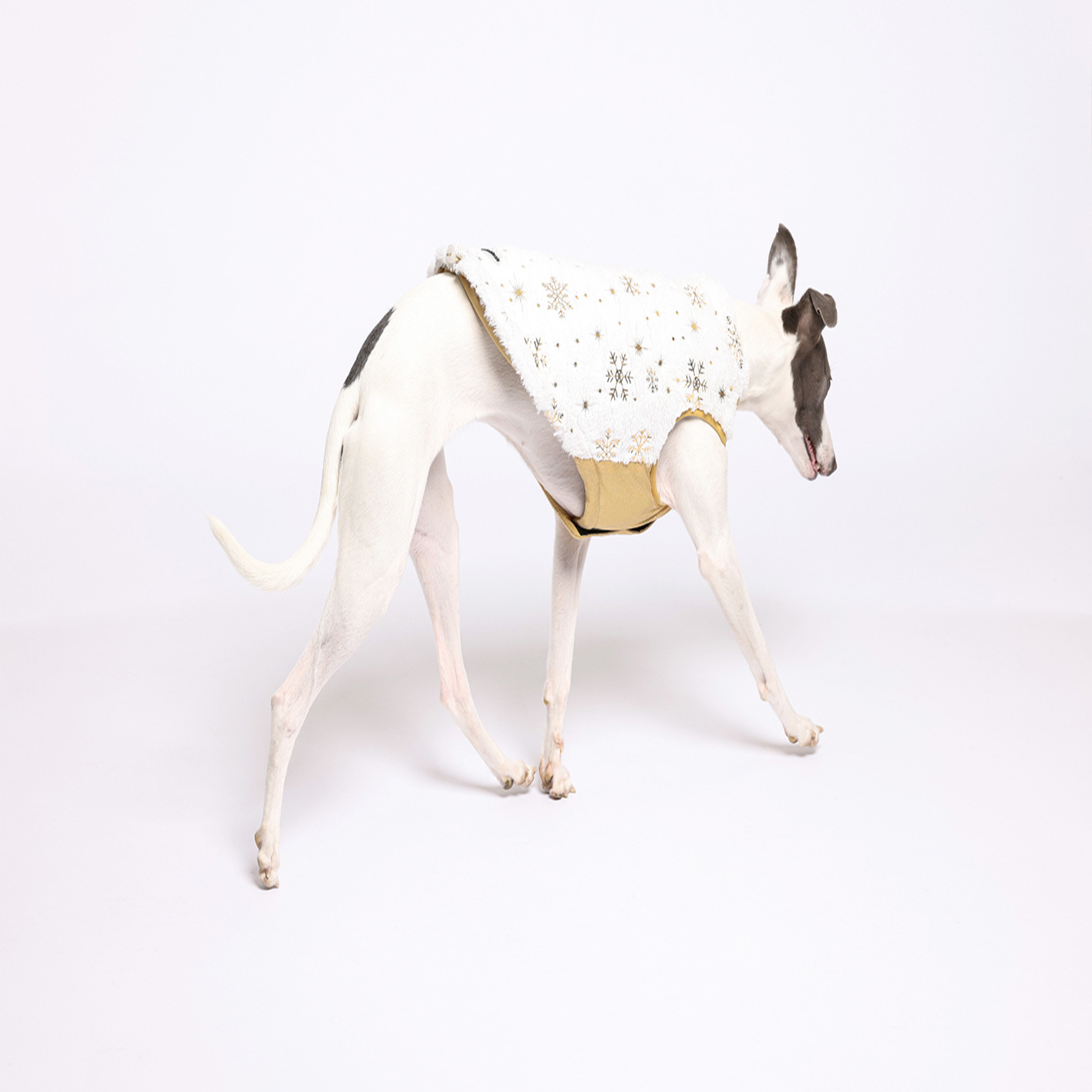 Rufus & Rosie Arctic Glitter Dog Coat One Size