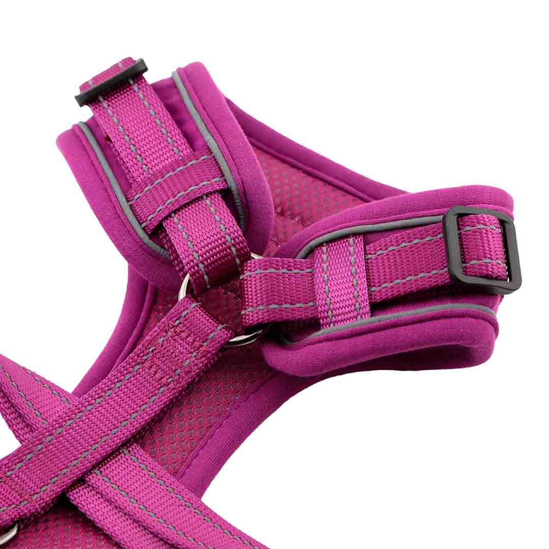 Doodlebone Trendy Tails Stomp Dog Harness Purple 1-2