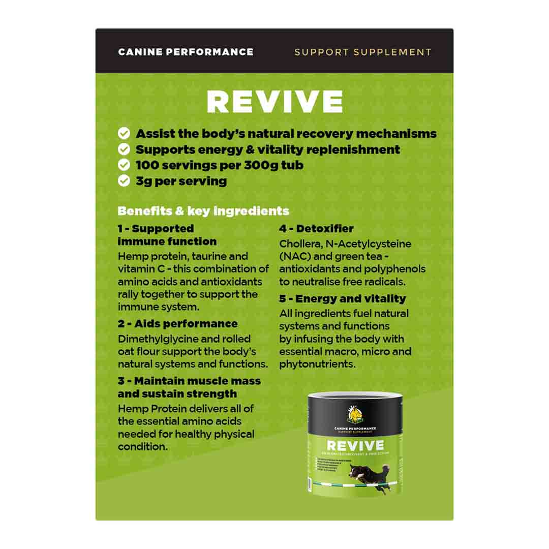 ProDog Raw Revive Recovery & Protection 300g