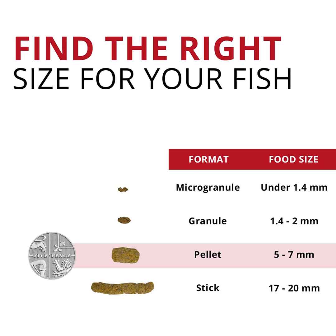 Fluval Bug Bites Cichlid Fish Food Granules, 45g