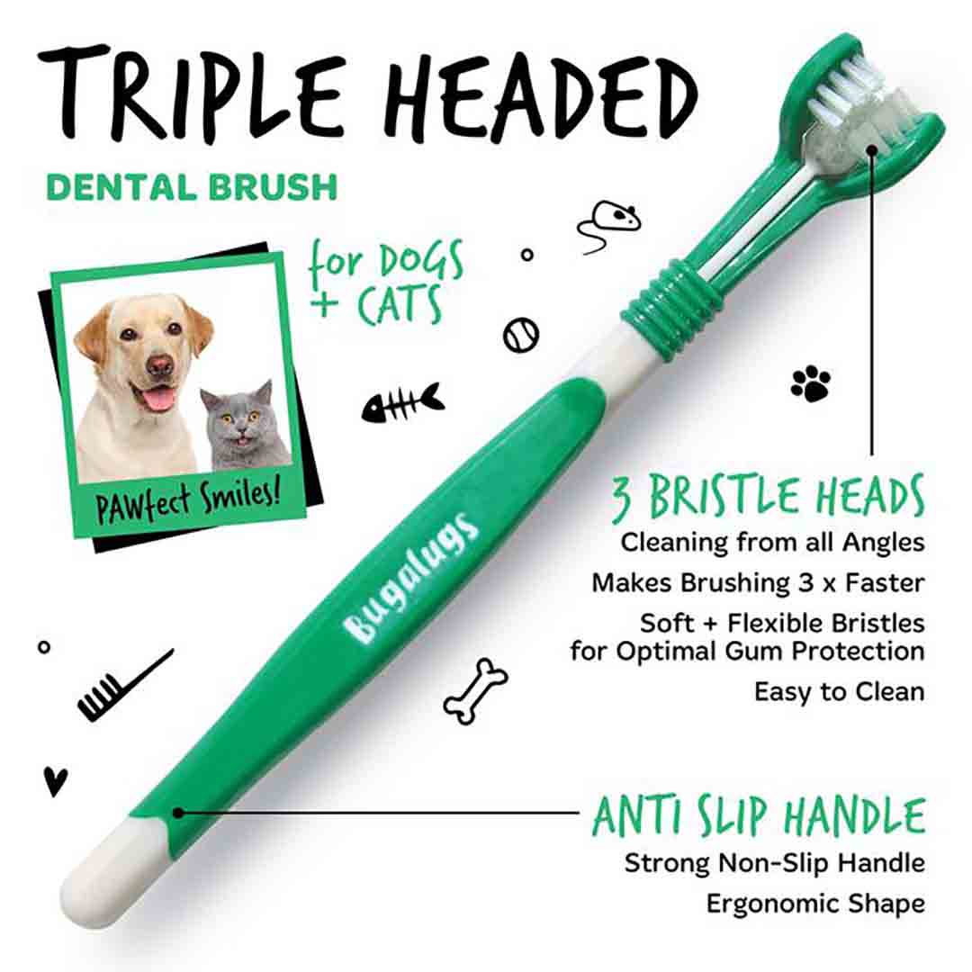 Bugalugs Dog & Cat Triple Headed Toothbrush 2 Pack