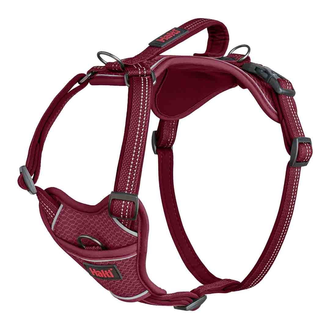 Halti Anatomy Dog Harness Magenta Large