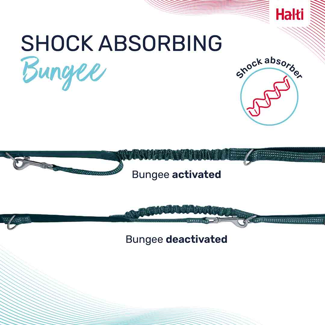Halti Anatomy Multi Use Dog Lead in Teal, Large