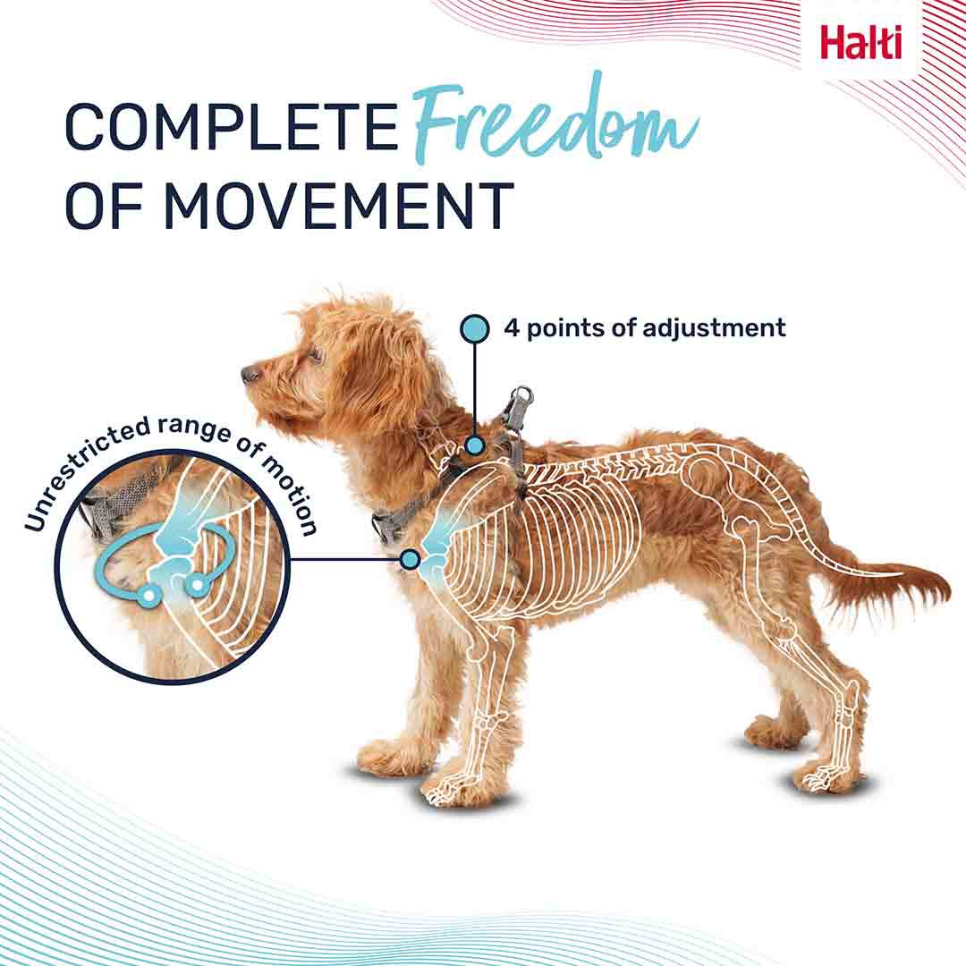 Halti Anatomy Puppy Harness Grey X-Small