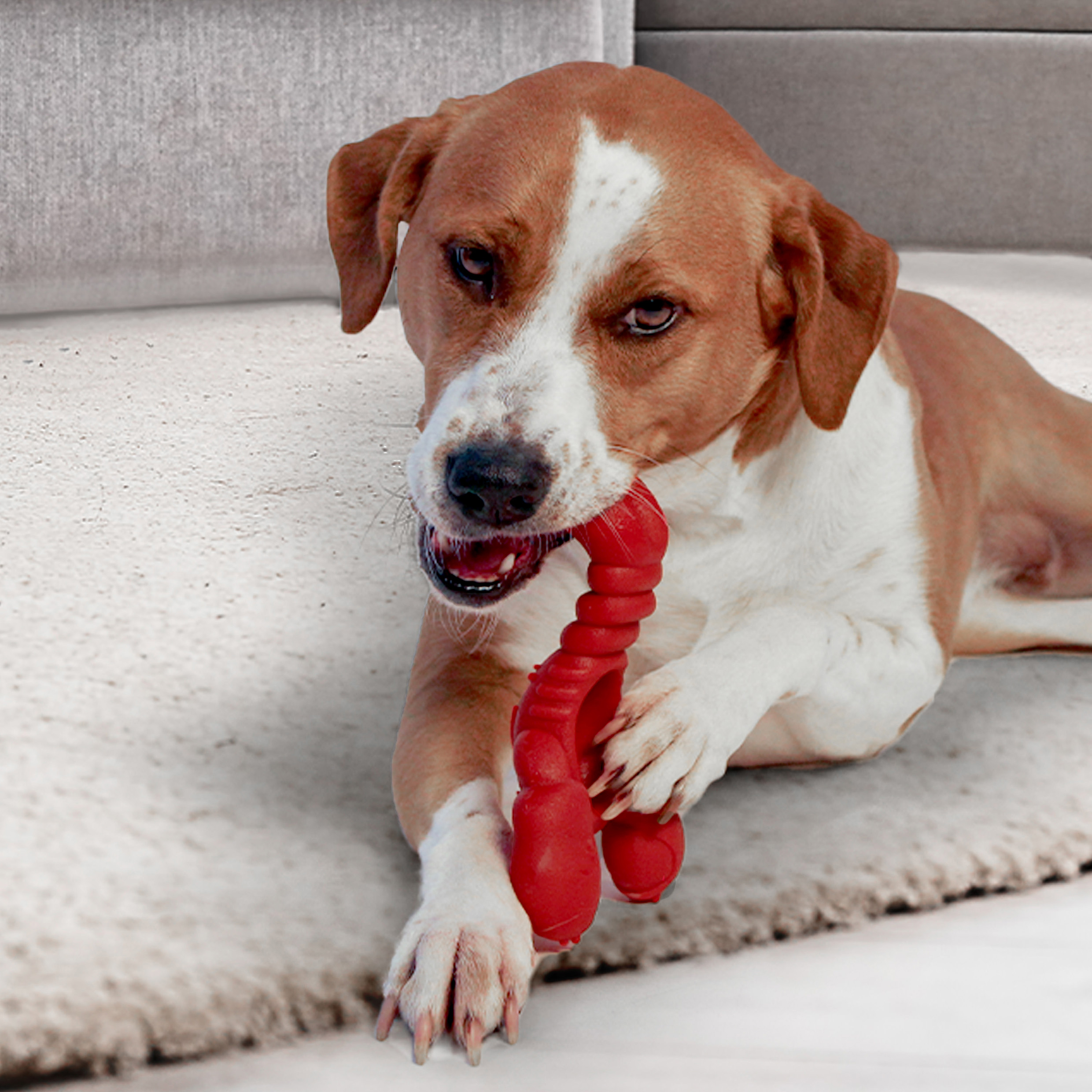 Nylabone Power Chew Lobster Dog Chew Toy - Extra Large