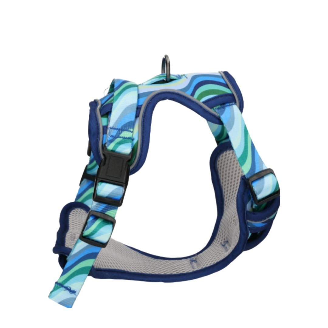Rufus & Rosie Dog Harness & Lead Set Blue Wave, Small