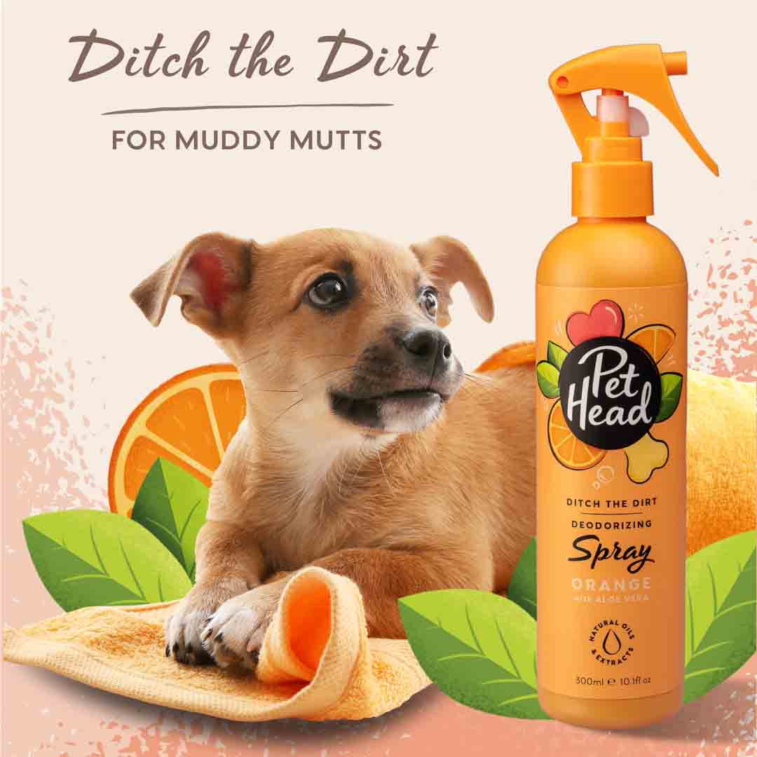 Pet Head Ditch The Dirt Deodorising Dog Grooming Spray 300ml