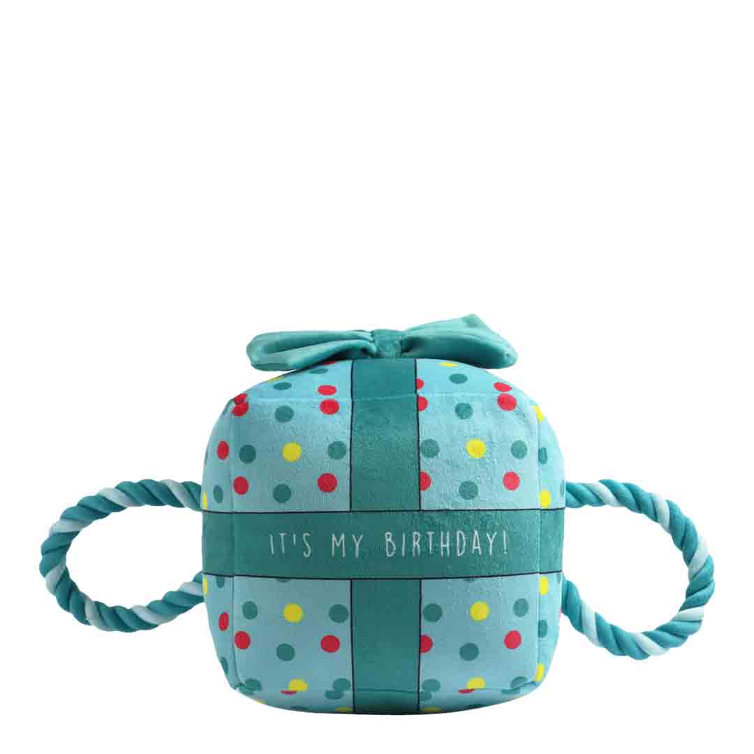 Ancol 'It’s My Birthday' Blue Present Large Dog Toy