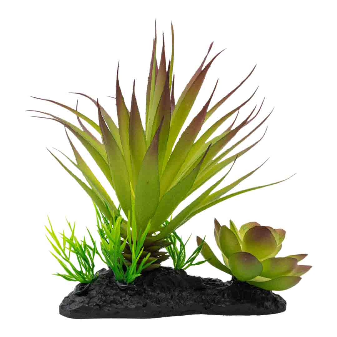 ProRep Agave Plant On Log Reptile Vivarium Decoration 15cm