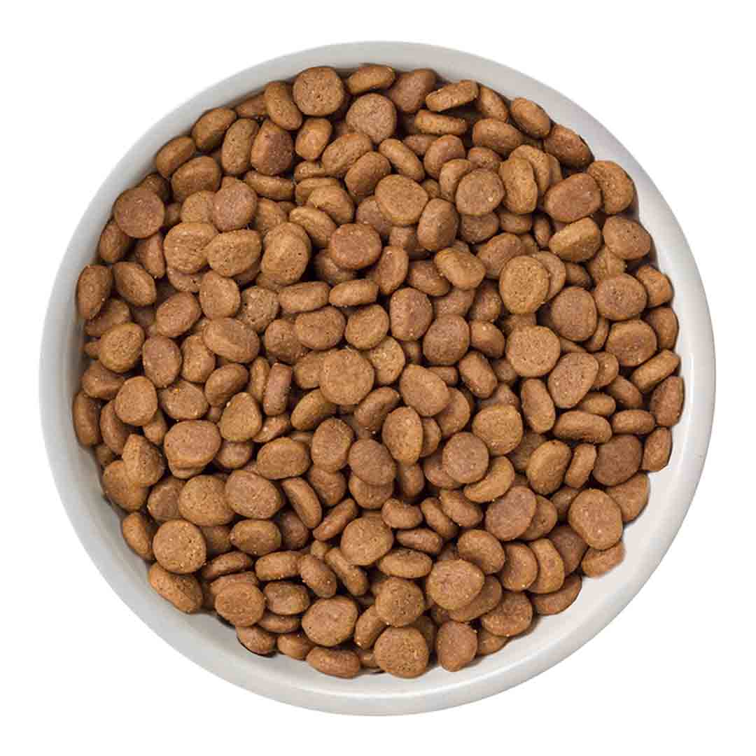 Nature's Variety Selected Dry Adult Sterilised Cat Free Range Chicken Cat Food 300g