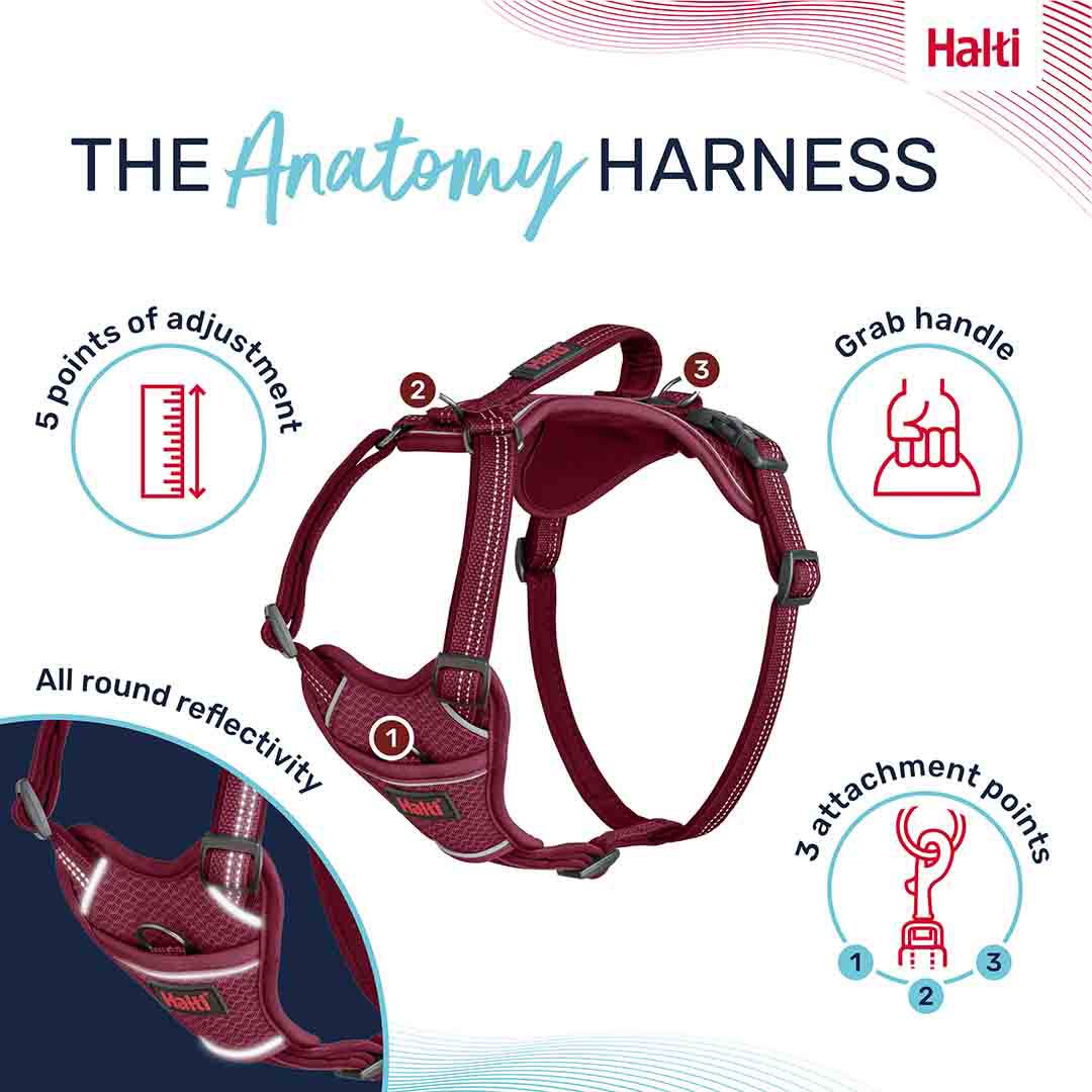 Halti Anatomy Dog Harness Magenta X-Small