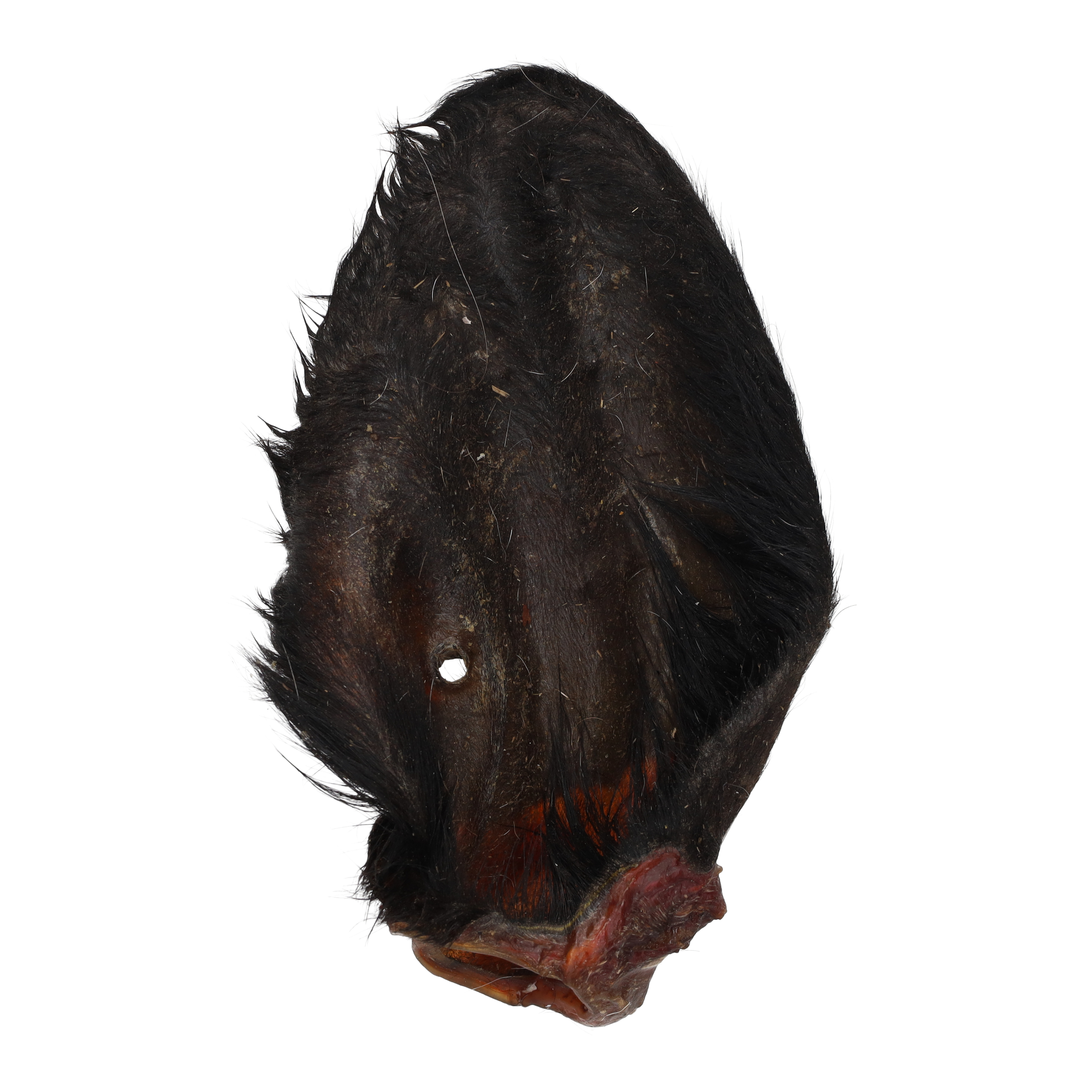 Jollyes Buffalo Ear with Hair Single Natural Dog Treat