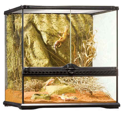 Exo Terra Small Wide Terrarium