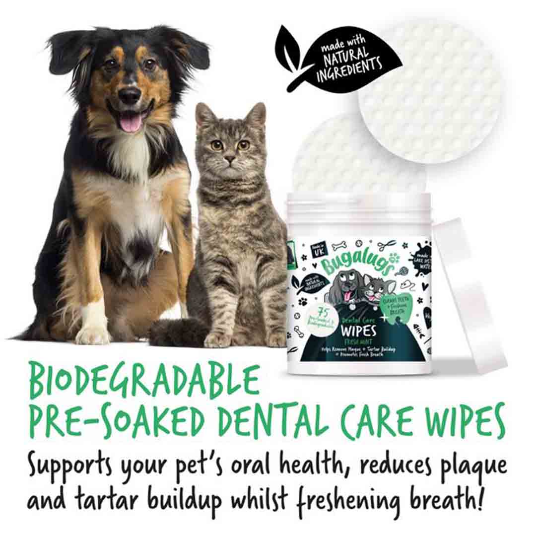 Bugalugs Dog Dental Care Bio-Degradable Wipes 75 Pack