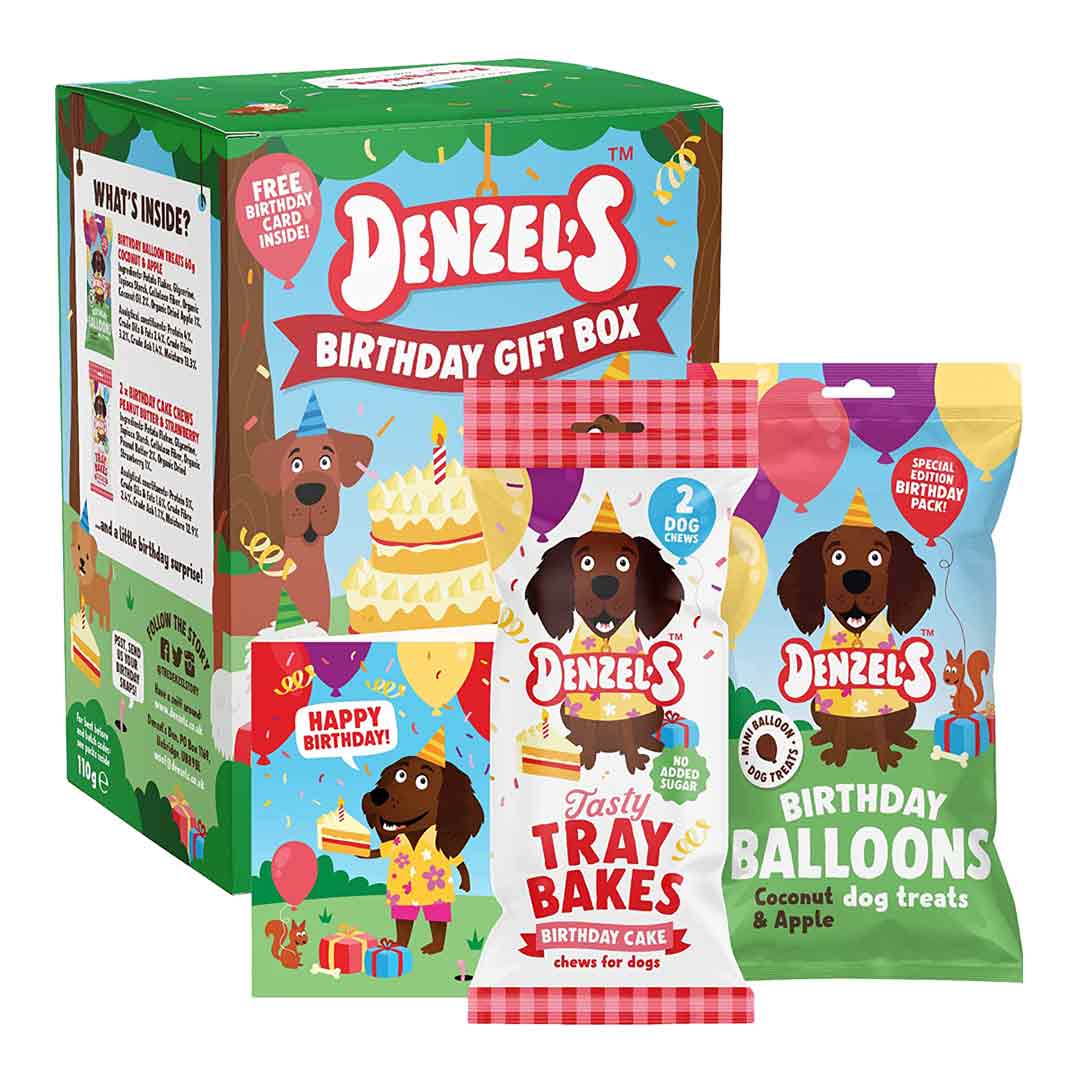 Denzels Birthday Box Dog Treats & Card