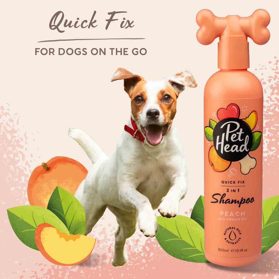 Pet Head Quick Fix 2 in 1 Dog Shampoo & Conditioner 300ml