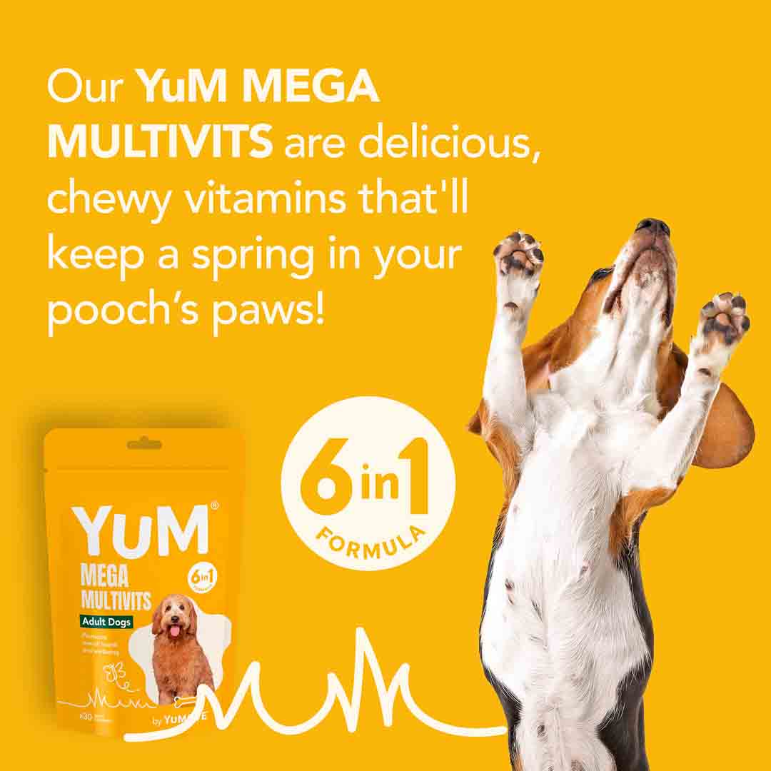 YuCARE Mega MultiVits Supplement for Adult Dogs