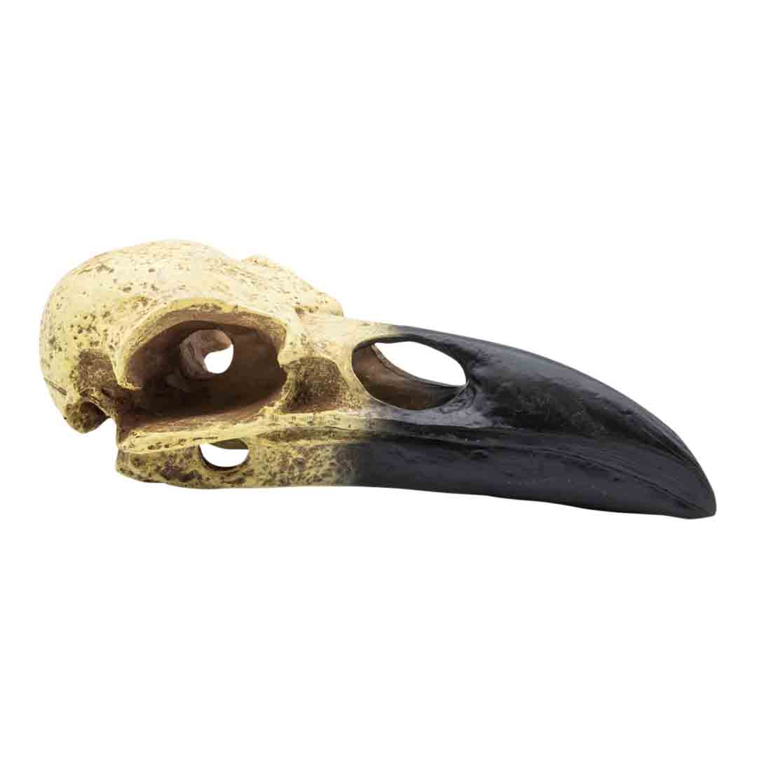 ProRep Corvid Skull Reptile Terrarium Accessory
