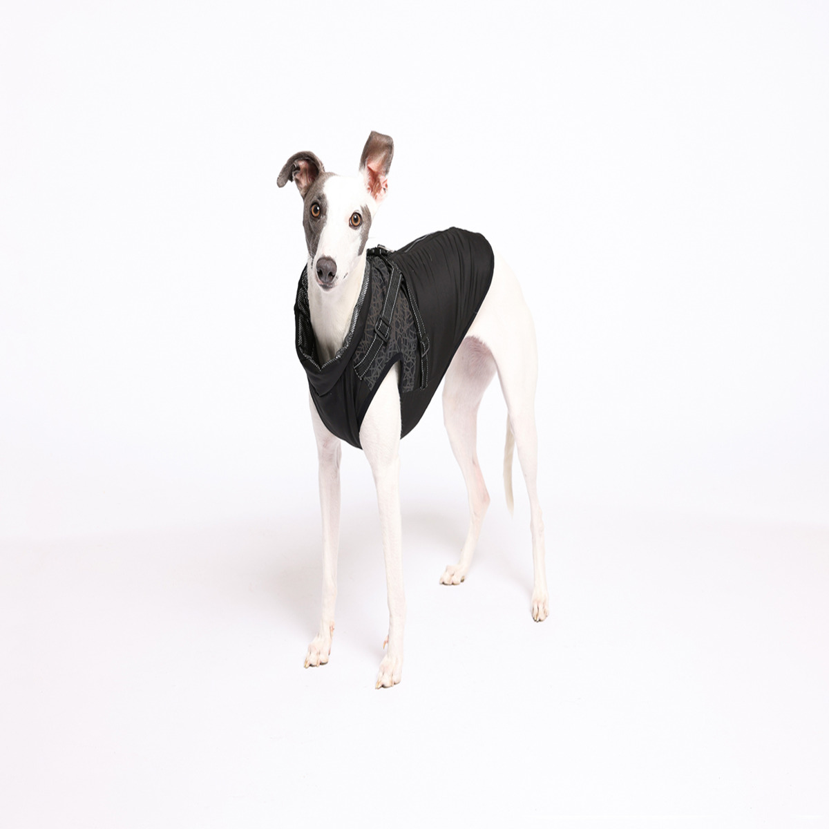 Rufus & Rosie Full Harness Dog Coat, L