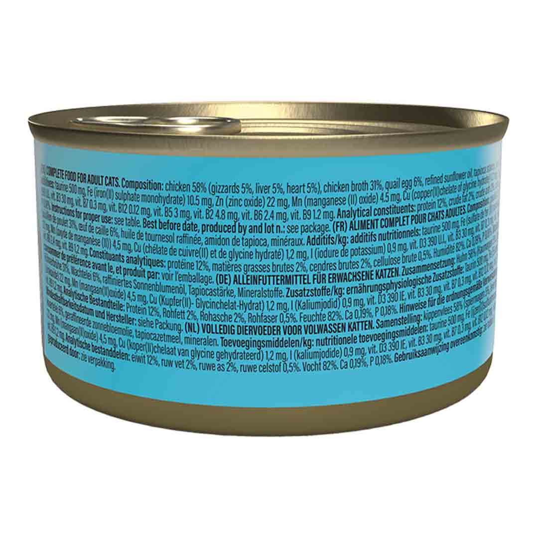 Schesir After Dark Complete Wet Cat Food Chicken & Quail Egg in Fillets 80g
