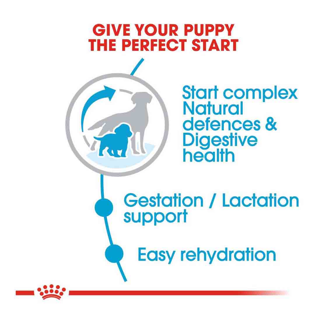 Royal Canin Dry Dog Food Medium Starter Mother & Babydog 4kg