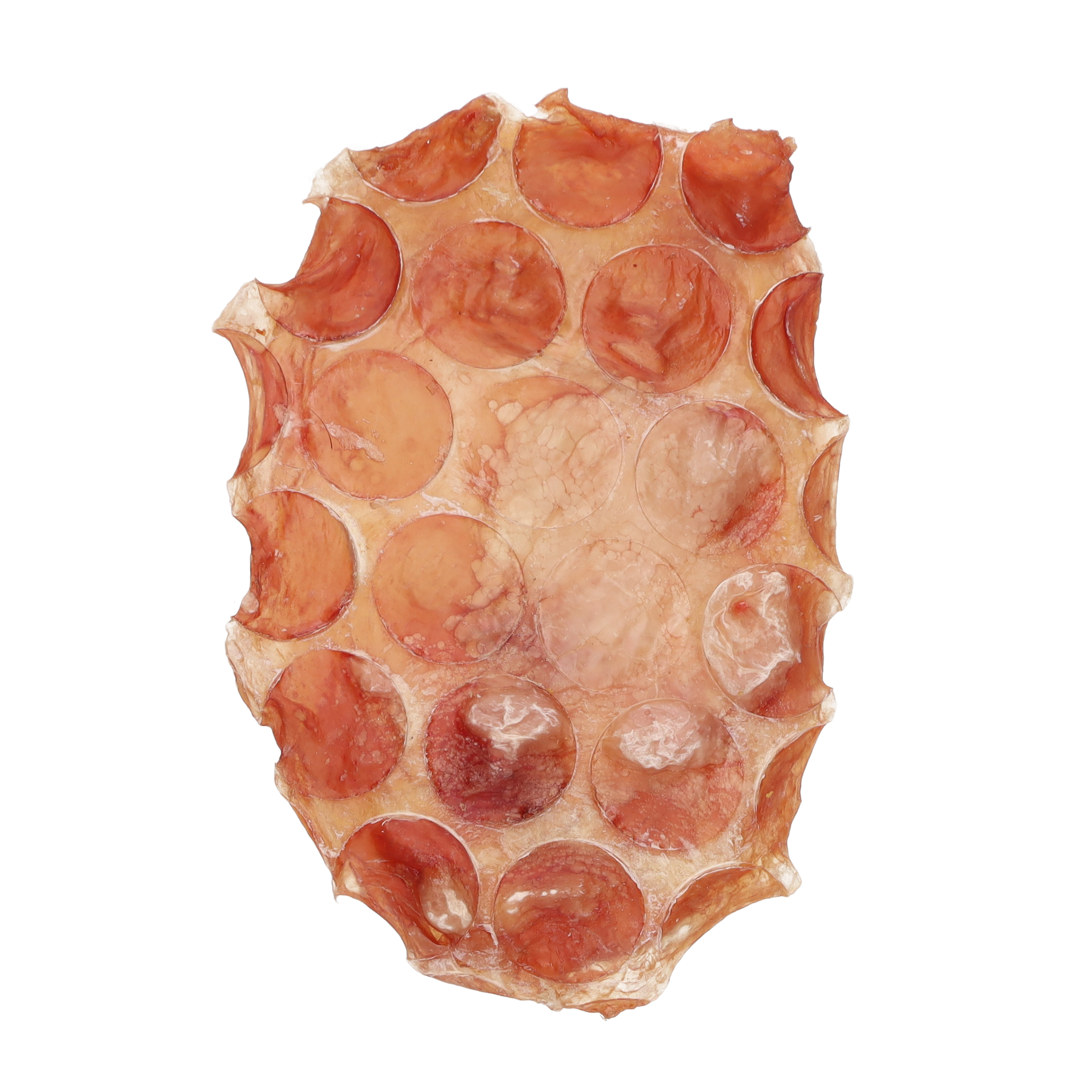 Jollyes Beef Frisbee Dog Chew