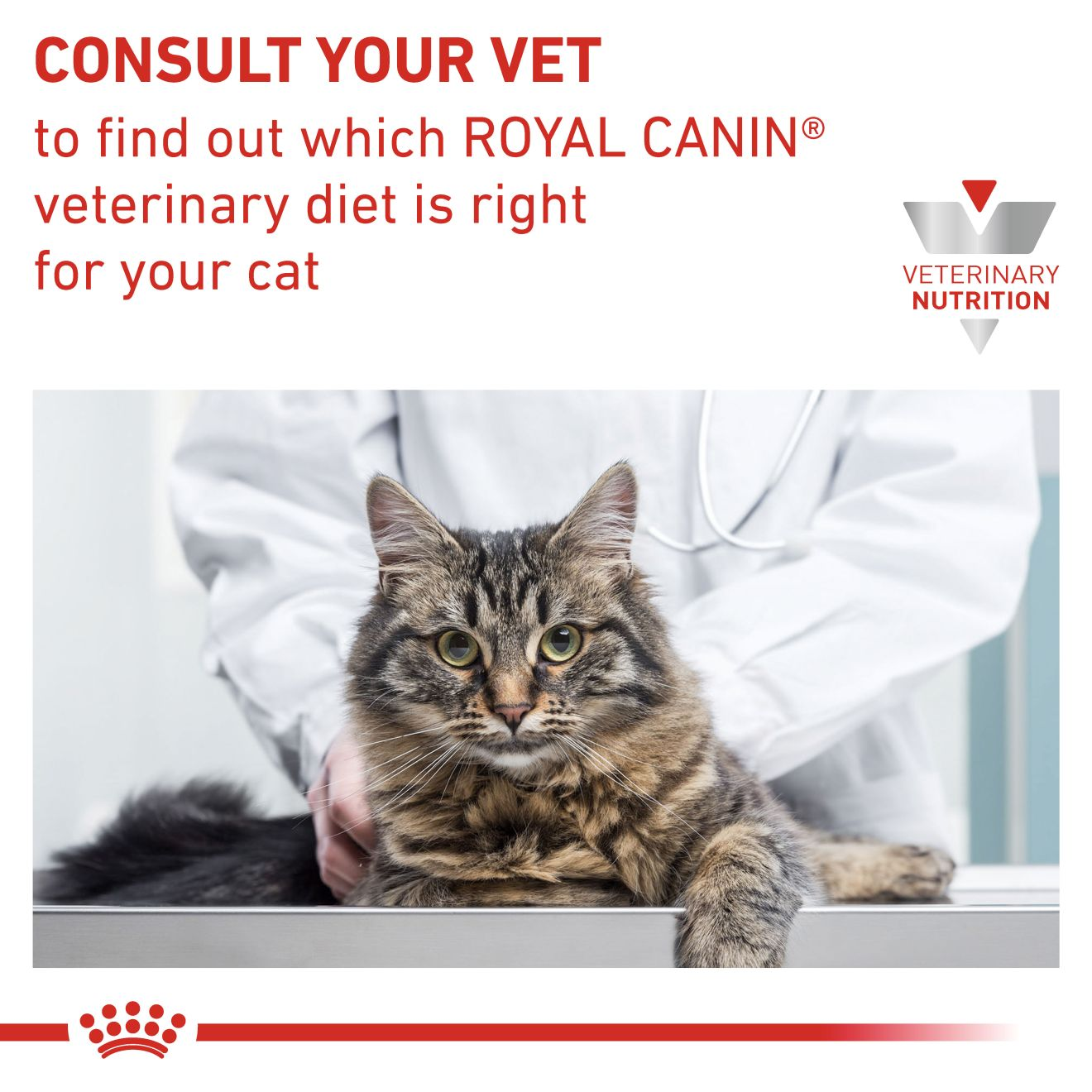 Royal Canin Anallergenic Adult Dry Cat Food 4kg