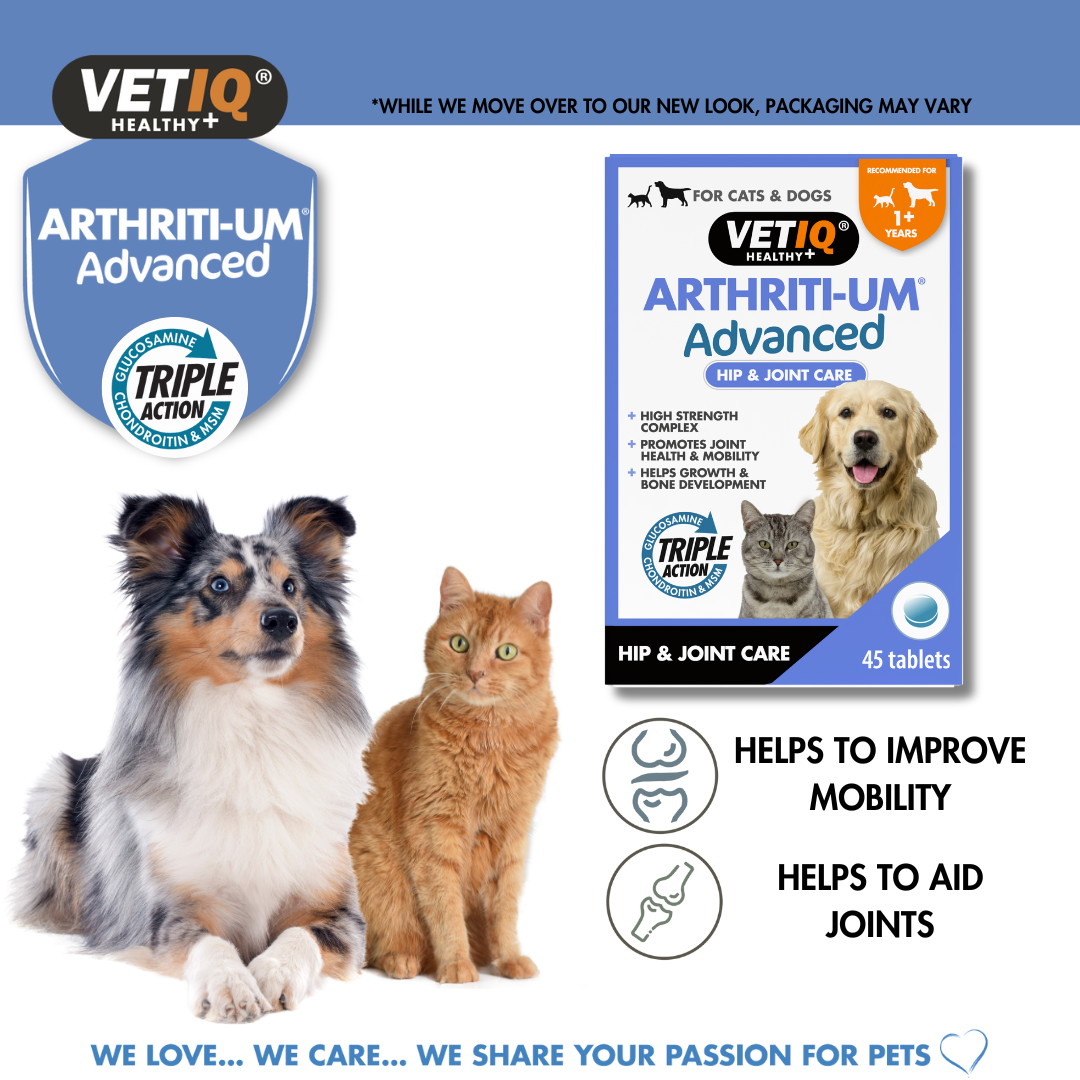 VetIQ Arthriti-UM Advanced for Cats and Dogs 45 tablets