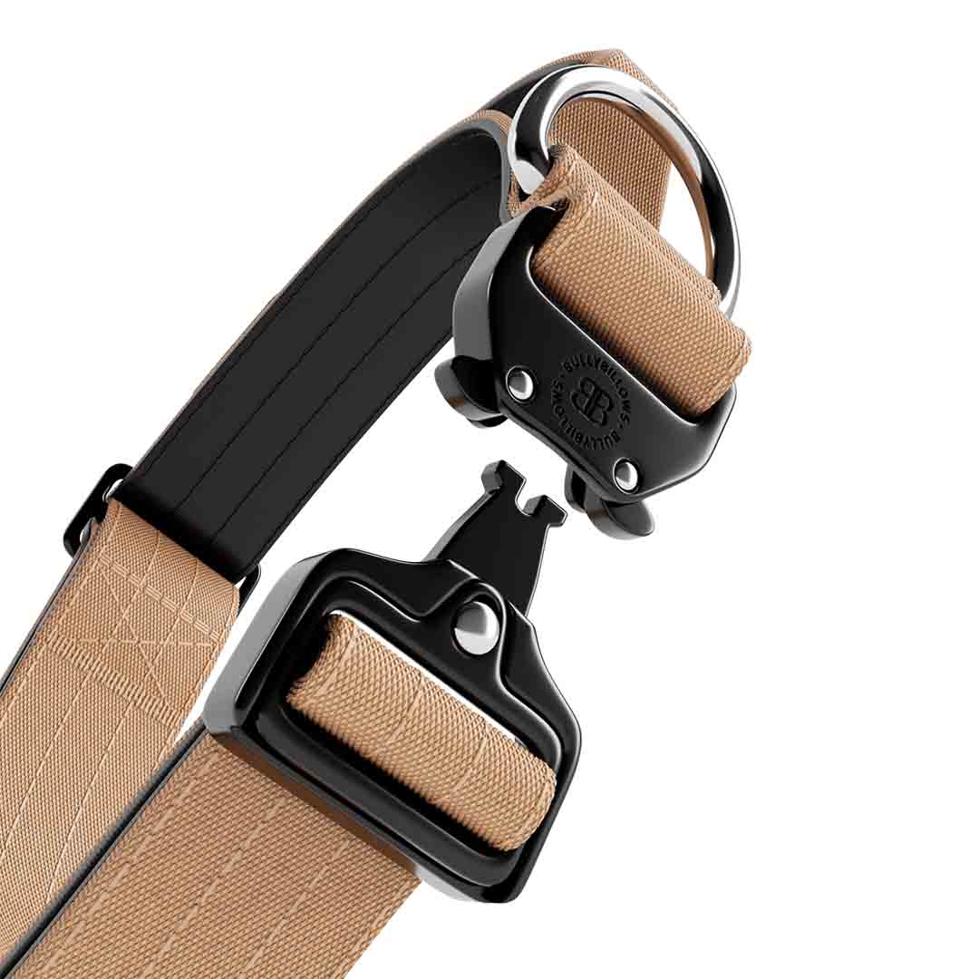 BullyBillows Combat Dog Collar Military Tan Extra Large