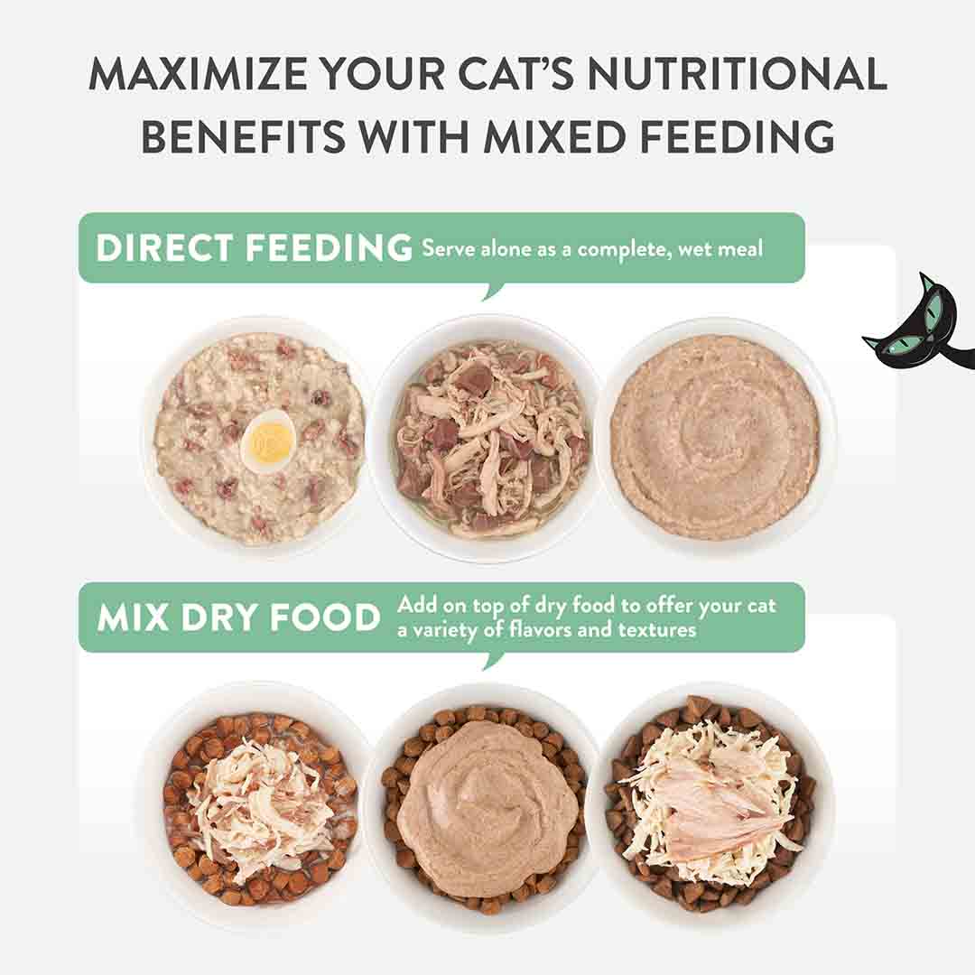 Schesir After Dark Complete Wet Cat Food Chicken & Quail Egg in Fillets 80g