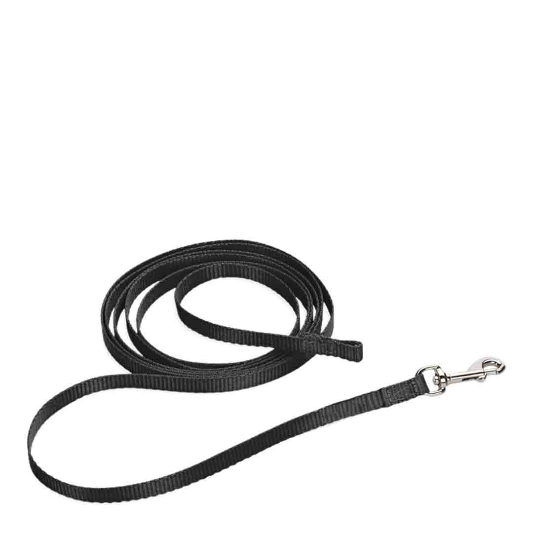 Puppy Training Recall Dog Lead