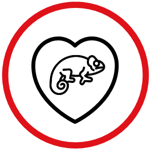 Health & Treatments