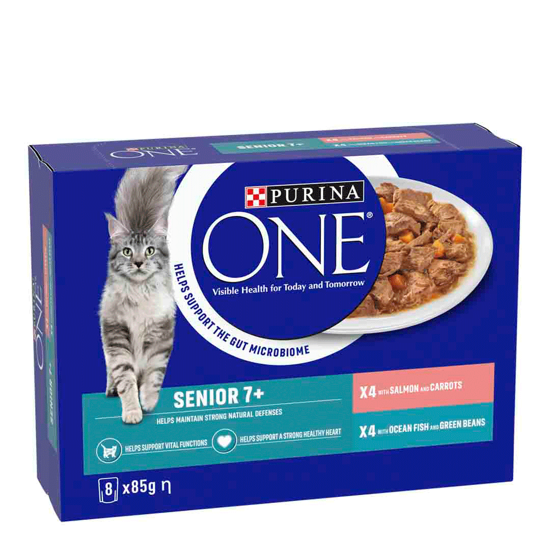 Purina One Senior Cat Food Salmon And Ocean Fish 8X85G