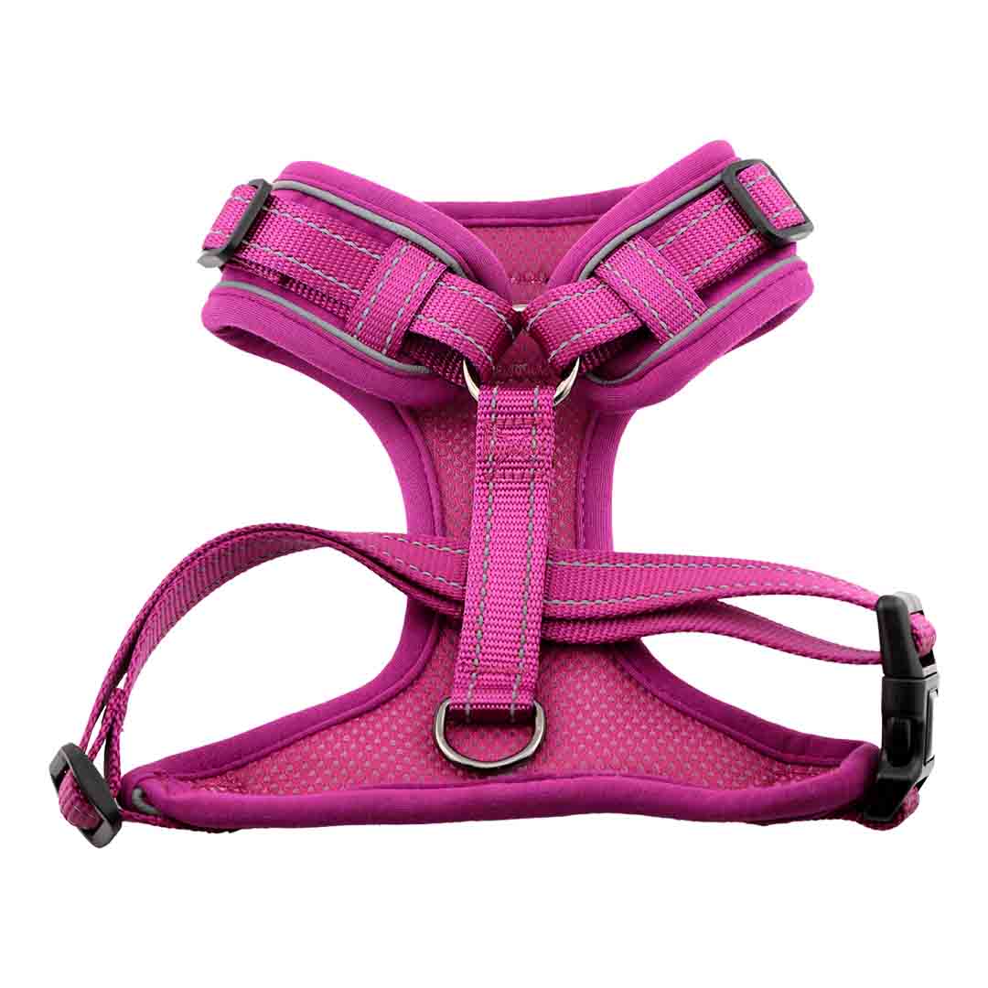 Doodlebone Trendy Tails Stomp Dog Harness Purple 4-7