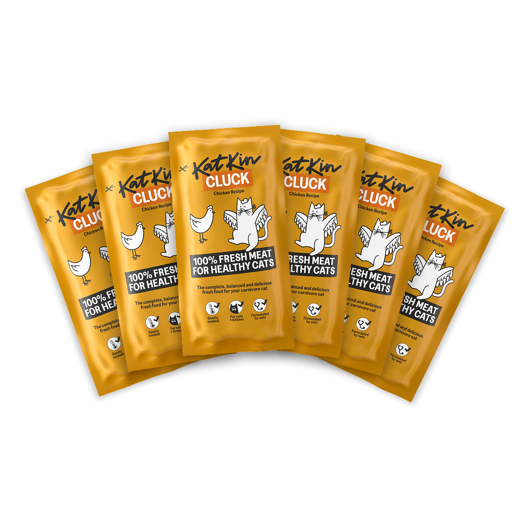 KatKin BIG CLUCK Fresh Cat and Kitten Food, Multipack (Chicken) 6x80g