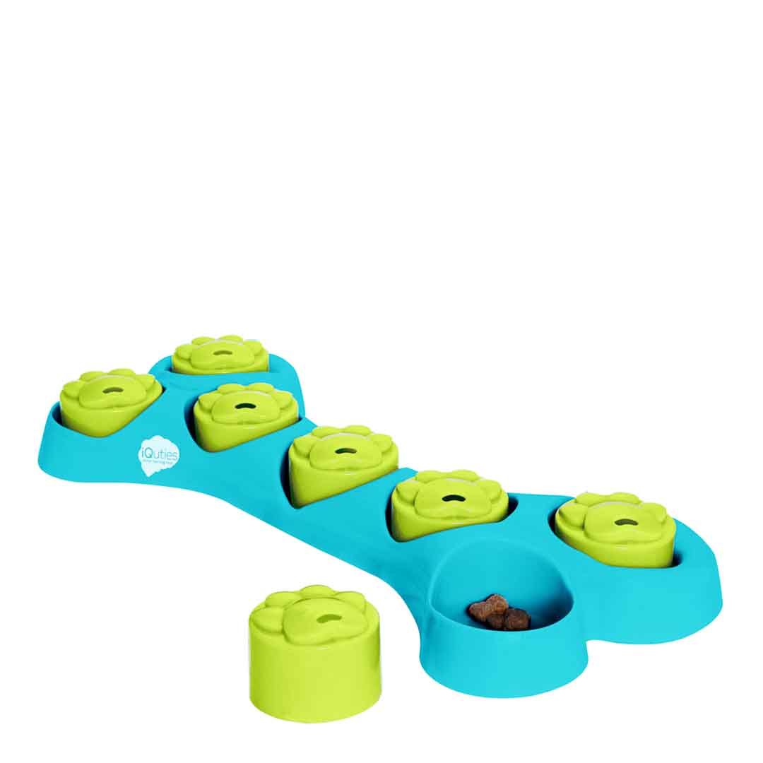 iQuties Bone Hide Interactive Dog Toy