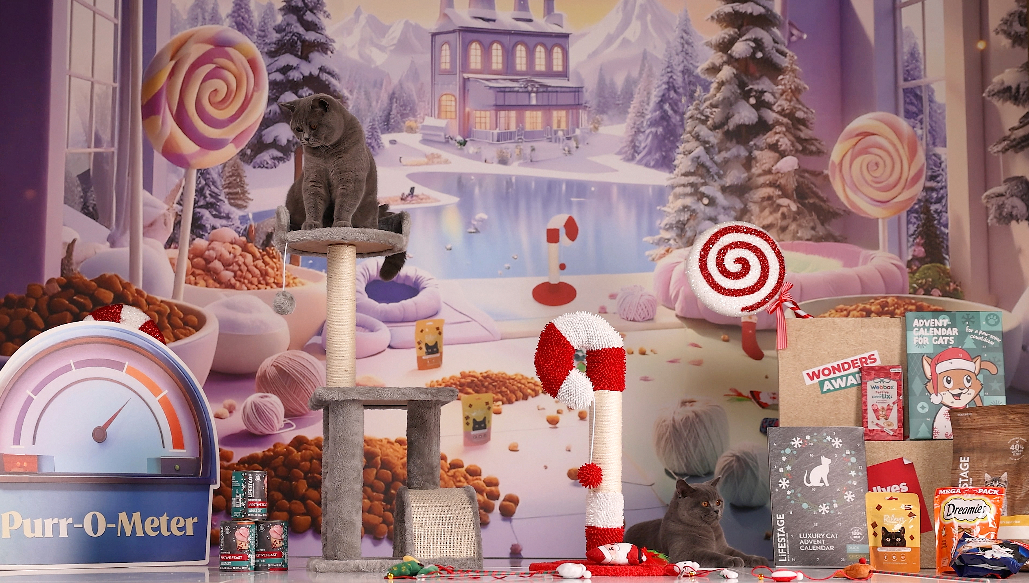  Are Christmas Trees Toxic To Cats? What Every Cat Parent Should Know