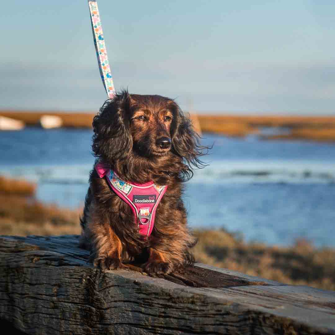 Doodlebone 'With Me' Dog Harness Pink 9-11