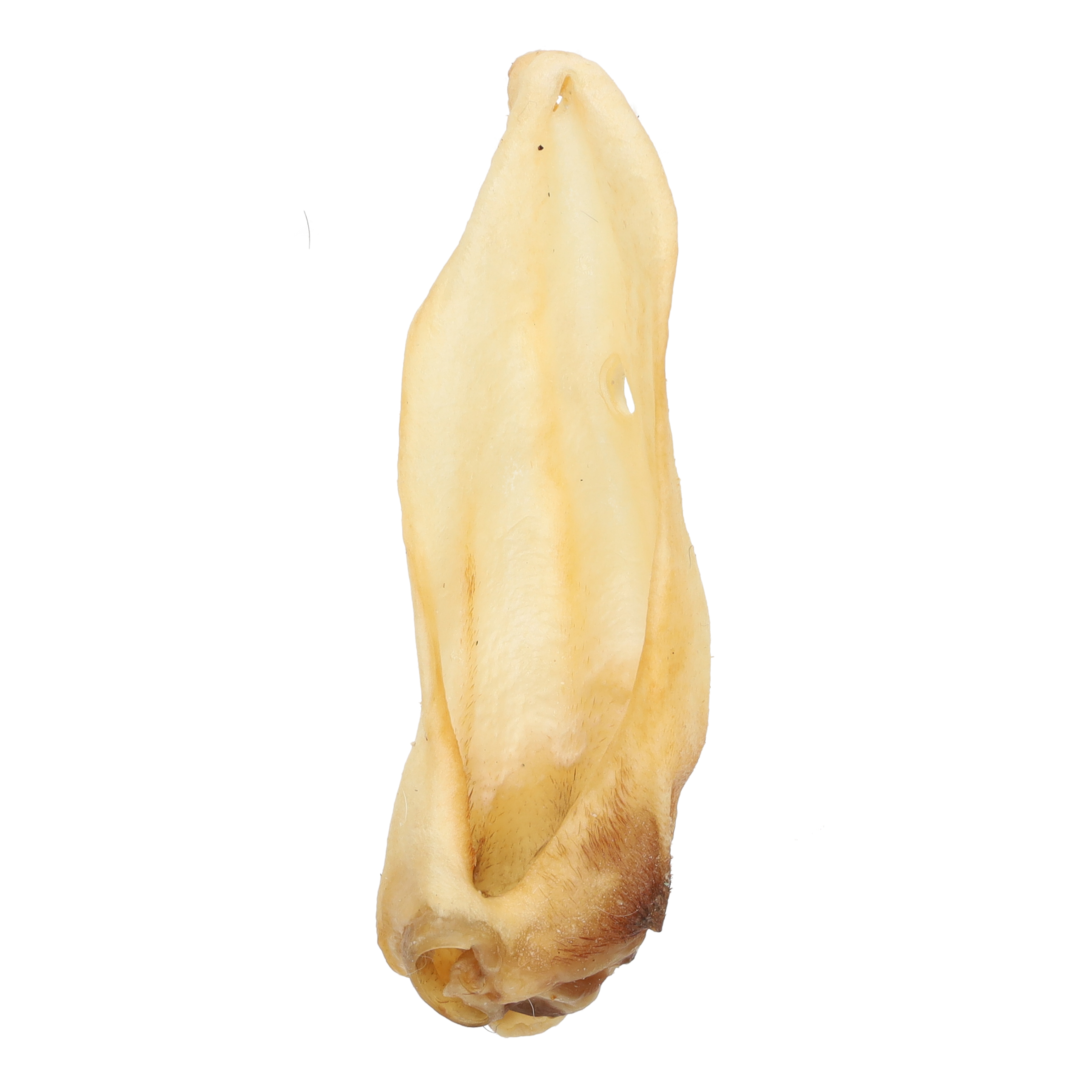 NAW Goat Ears Natural Dog Treat