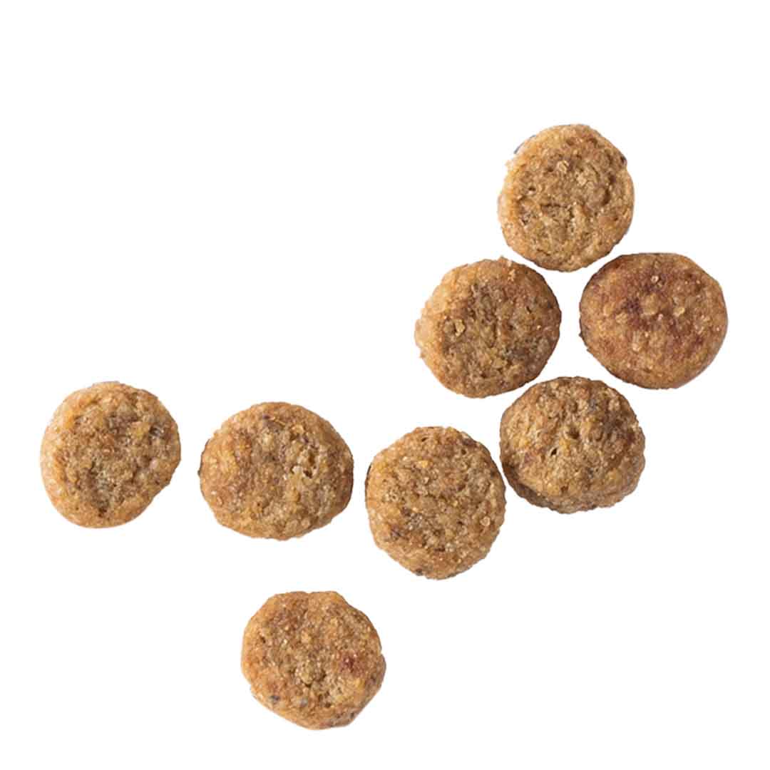 Hill's Science Plan Adult Light Small & Mini Dry Dog Food Chicken Flavour 1.5kg 